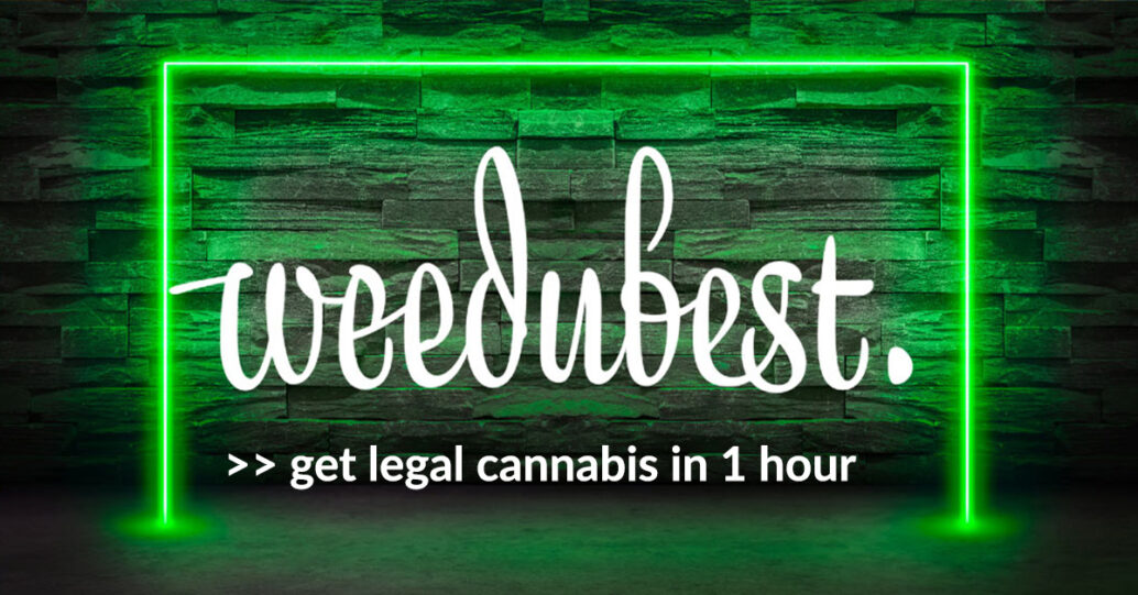 cannabis-dispensary-delivery-nyc-one-hour
